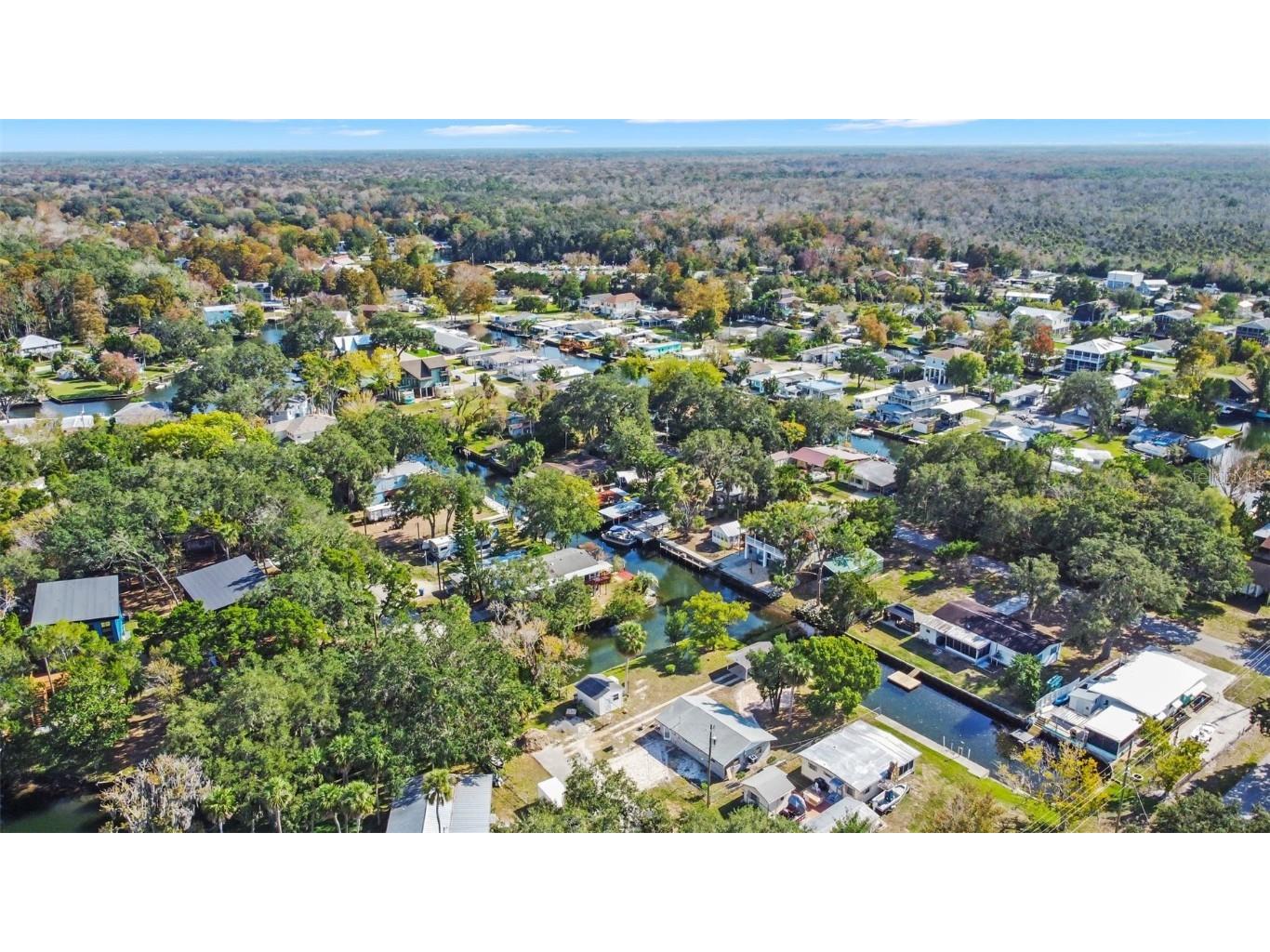 Teal Drive Weeki Wachee FL 34607 W7880353 image11