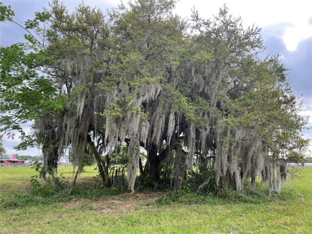 Teal Road Geneva FL 32732 O6016409 image1