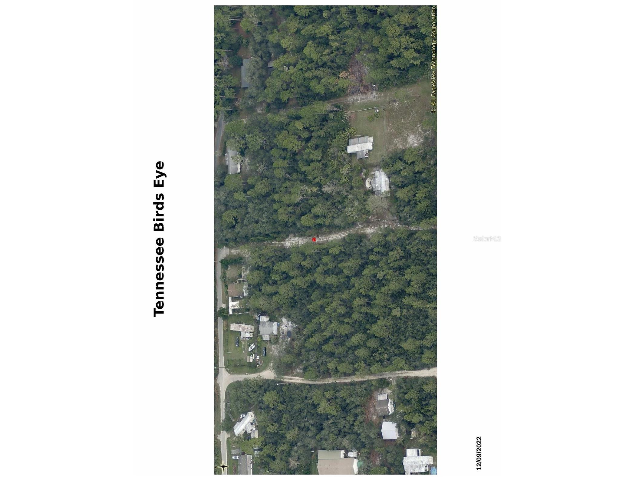 Tennessee Street Paisley FL 32767 O6382780 image2