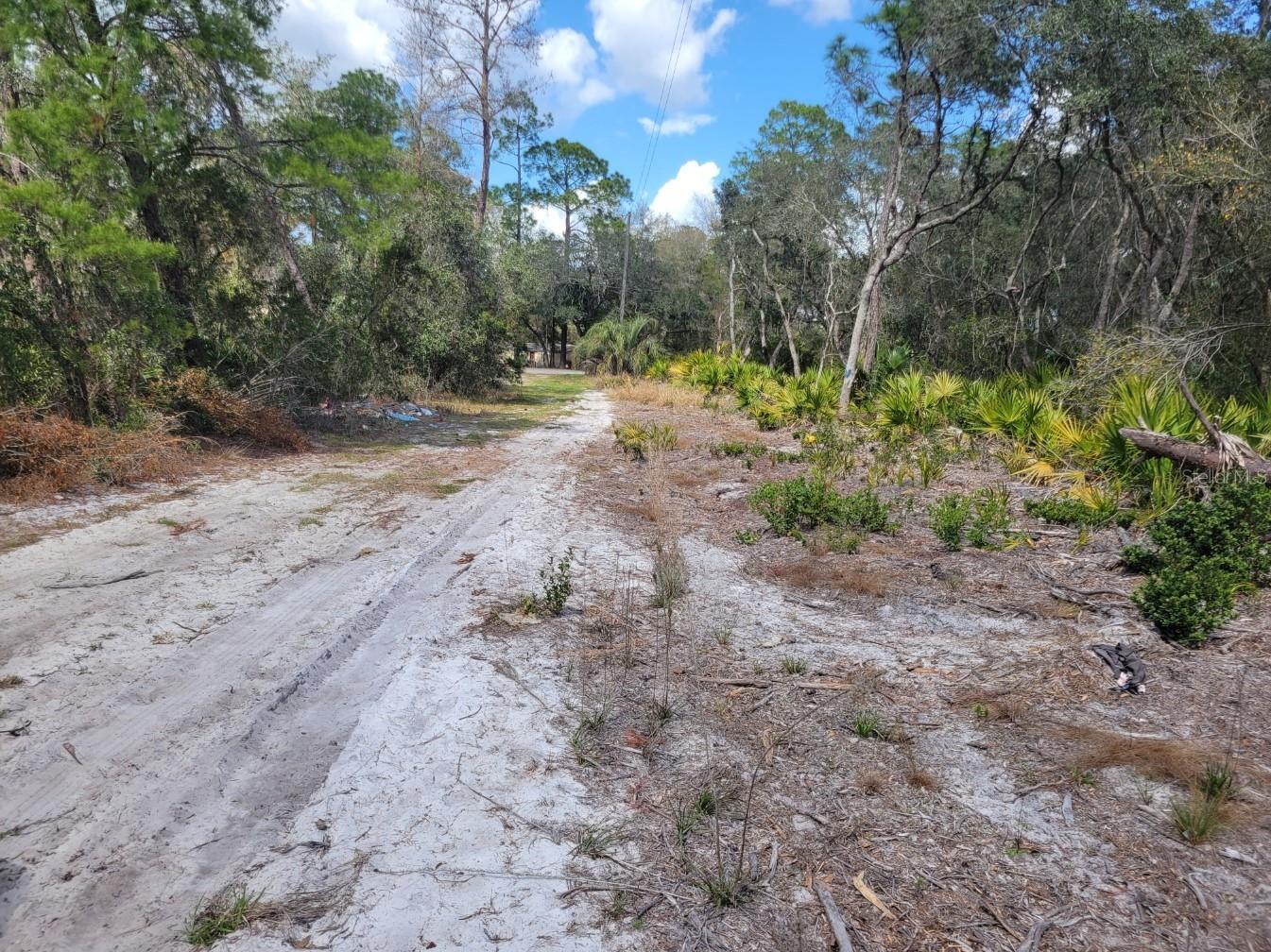 Tennessee Street Paisley FL 32767 O6382780 image6