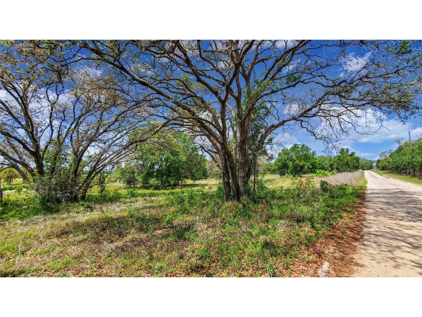 Terra Vista Court Winter Garden FL 34787 O6107356 image1