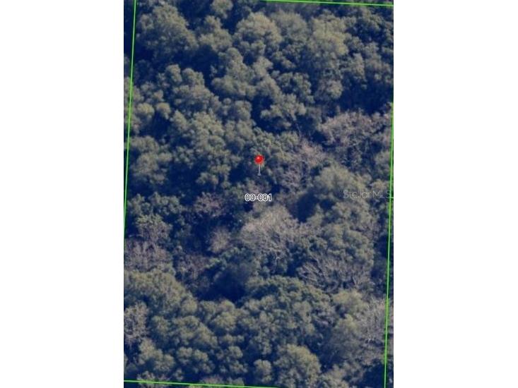 Terrell Road Mount Dora FL 32757 O6233028 image1