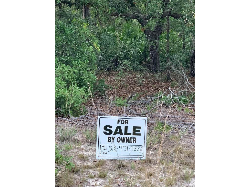 Terrell Street Interlachen FL 32148 O6321337 image1