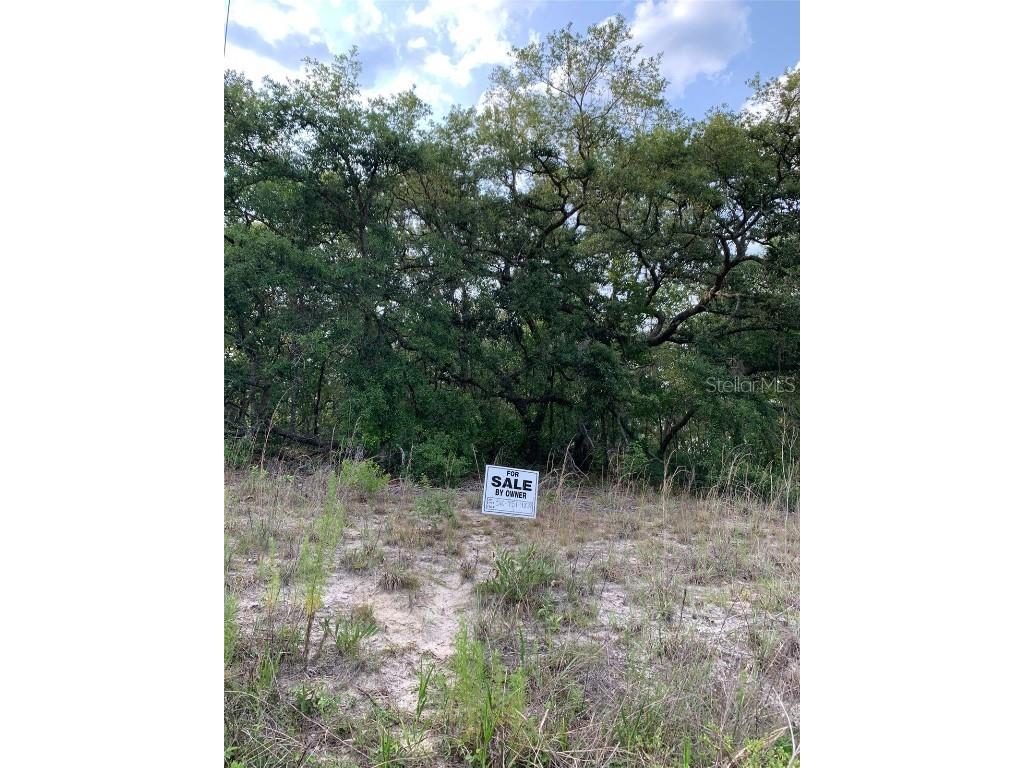 Terrell Street Interlachen FL 32148 O6321337 image2