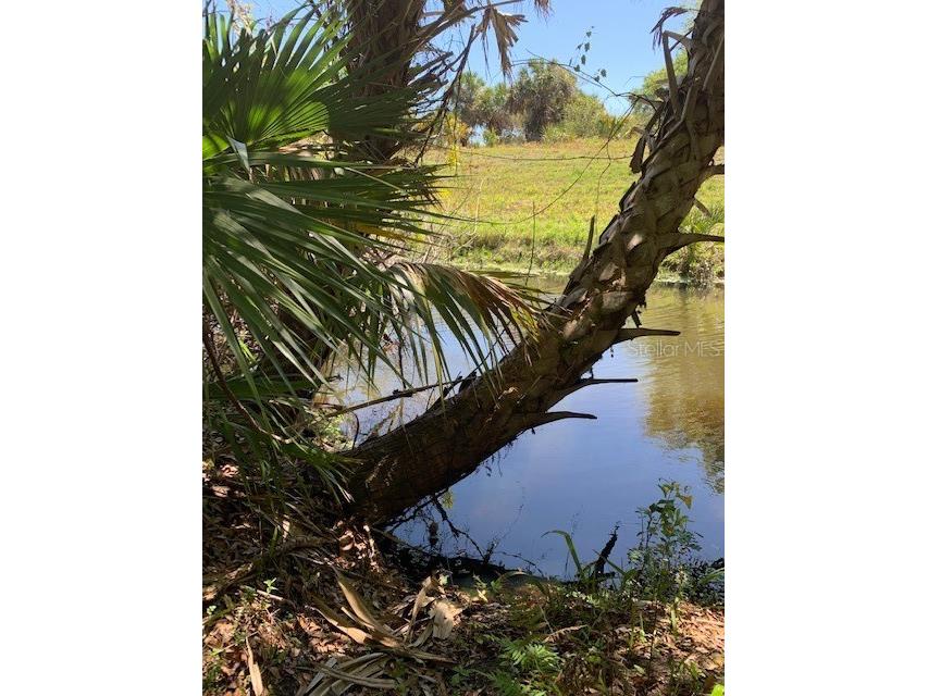 Tevis Terrace North Port FL 34288 C7474783 image1