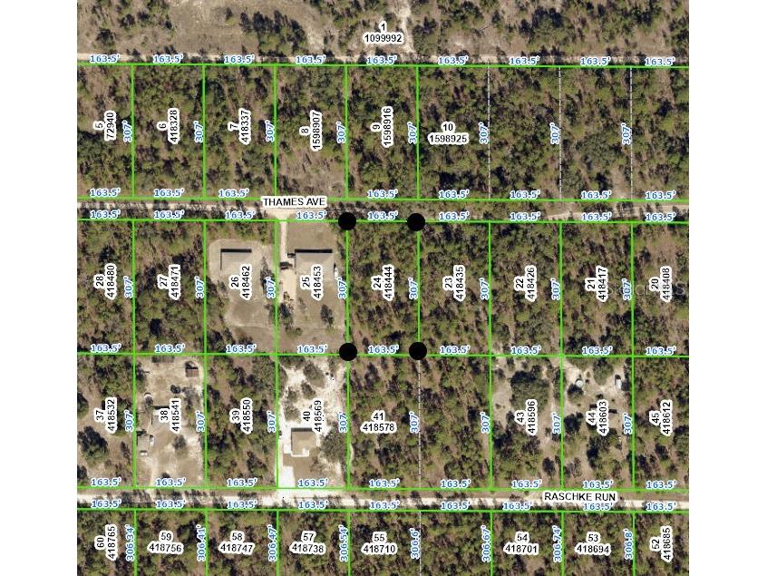Thames Avenue Weeki Wachee FL 34613 W7853507 image1