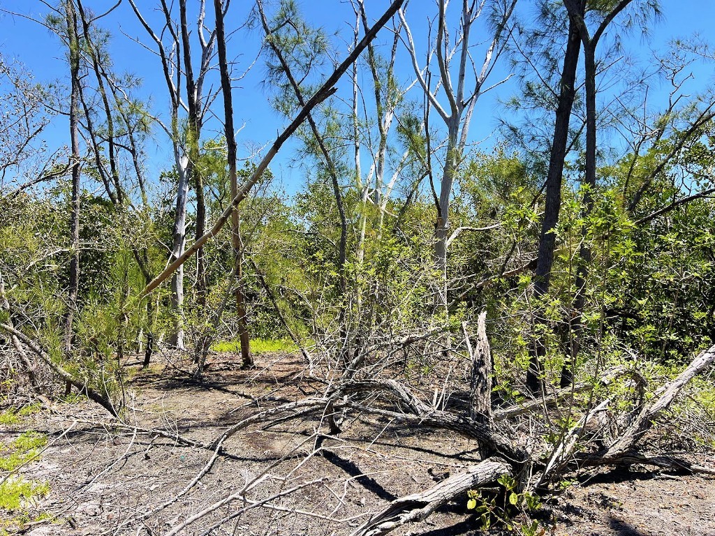 The Island Property Manasota Key Englewood FL 34223 - LEMON BAY C7506730 image1