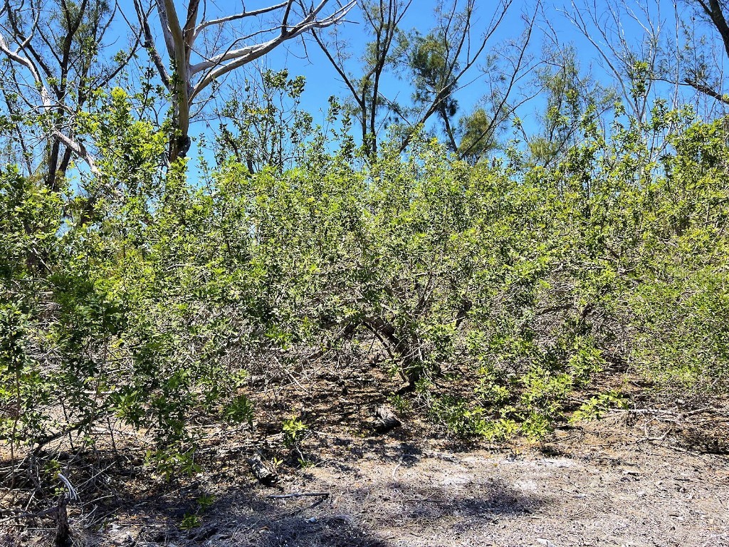 The Island Property Manasota Key Englewood FL 34223 - LEMON BAY C7506730 image12