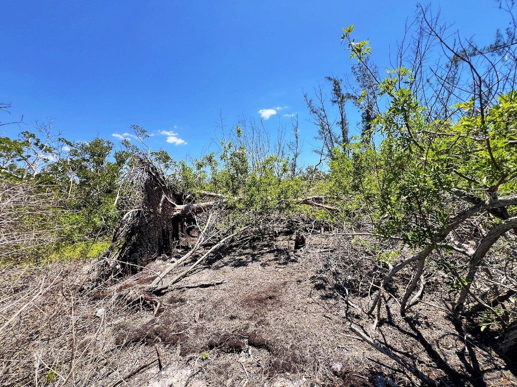 The Island Property Manasota Key Englewood FL 34223 - LEMON BAY C7506730 image13