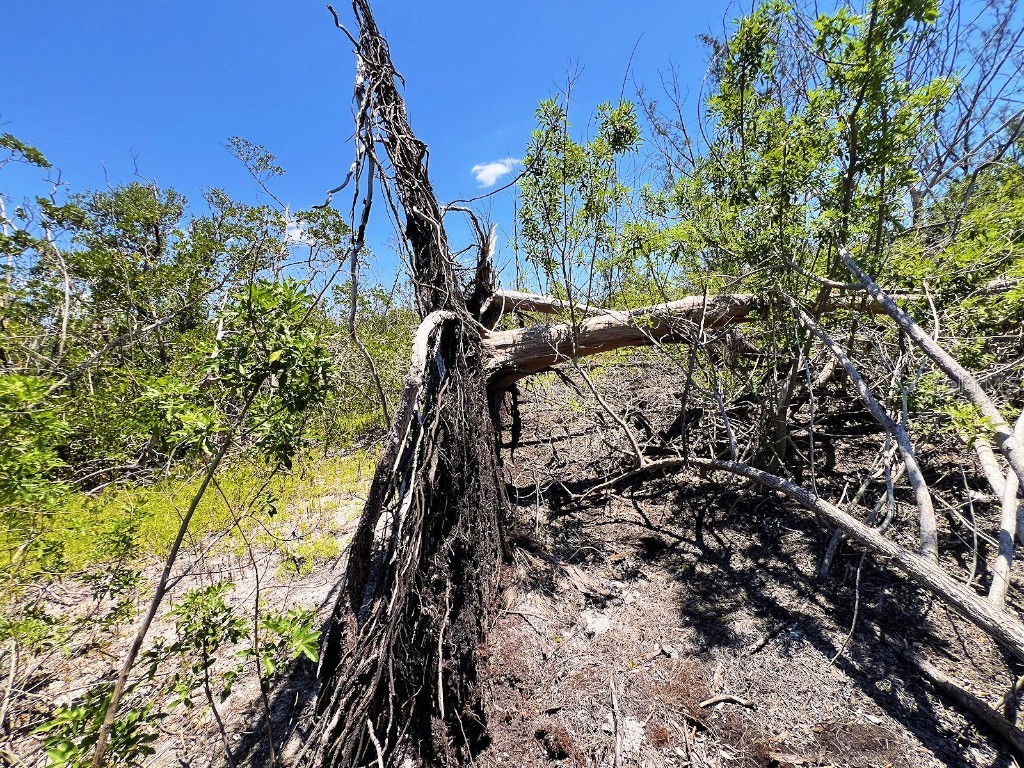 The Island Property Manasota Key Englewood FL 34223 - LEMON BAY C7506730 image14