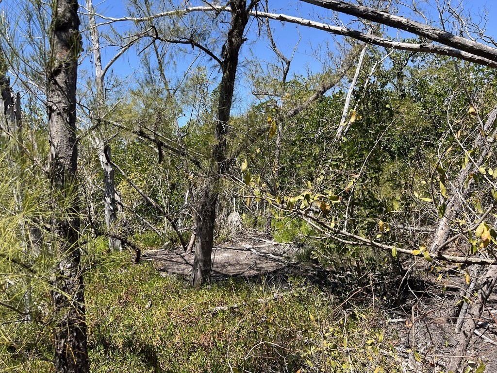 The Island Property Manasota Key Englewood FL 34223 - LEMON BAY C7506730 image15