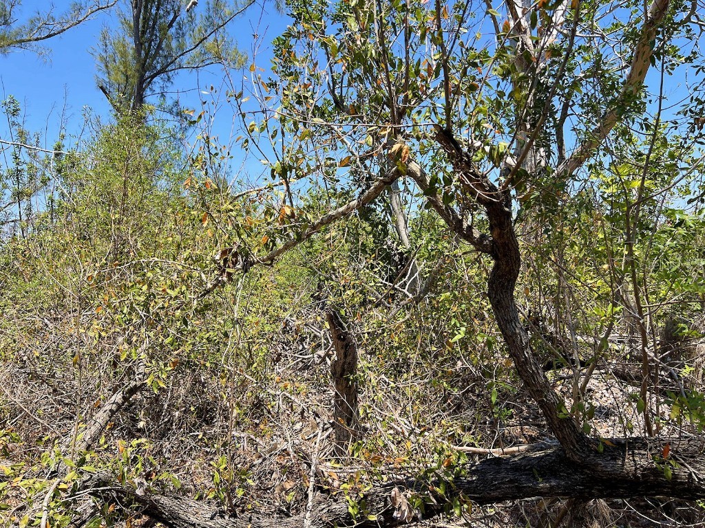 The Island Property Manasota Key Englewood FL 34223 - LEMON BAY C7506730 image17