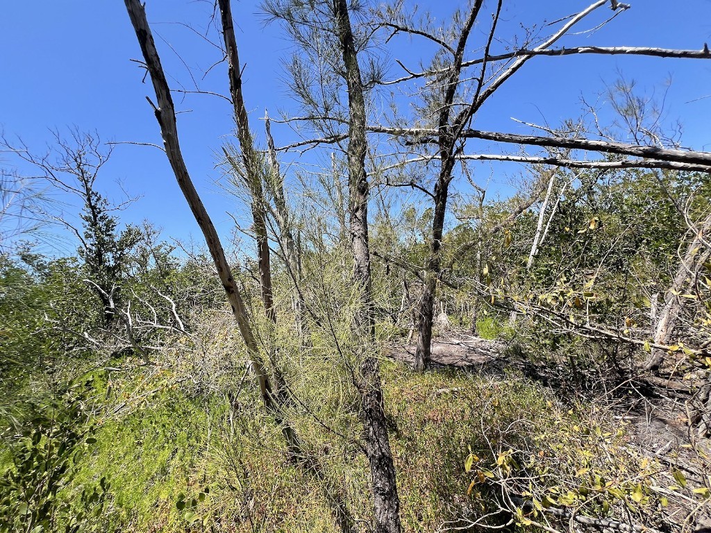 The Island Property Manasota Key Englewood FL 34223 - LEMON BAY C7506730 image19