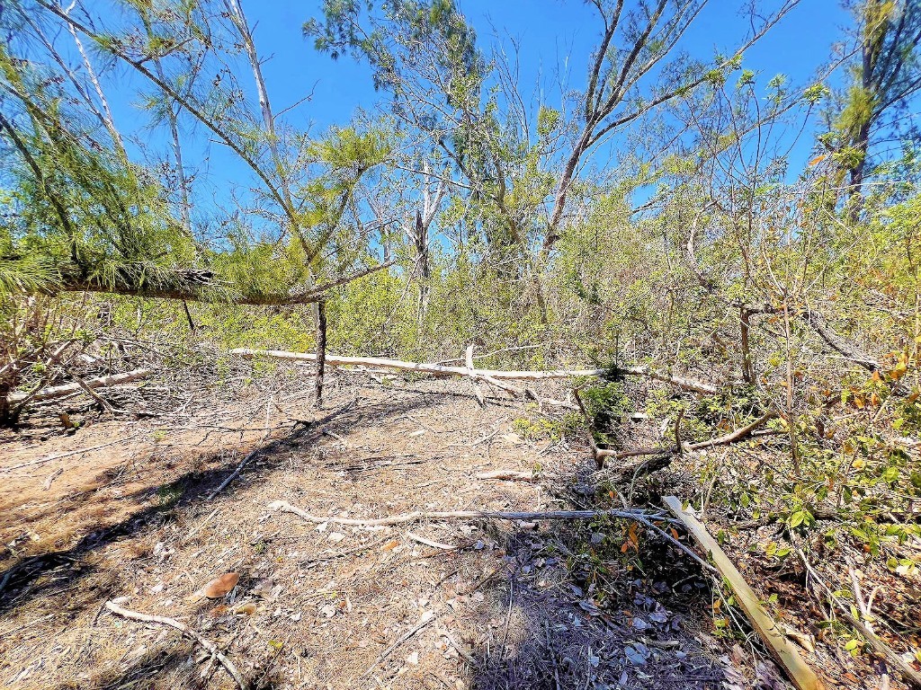 The Island Property Manasota Key Englewood FL 34223 - LEMON BAY C7506730 image2