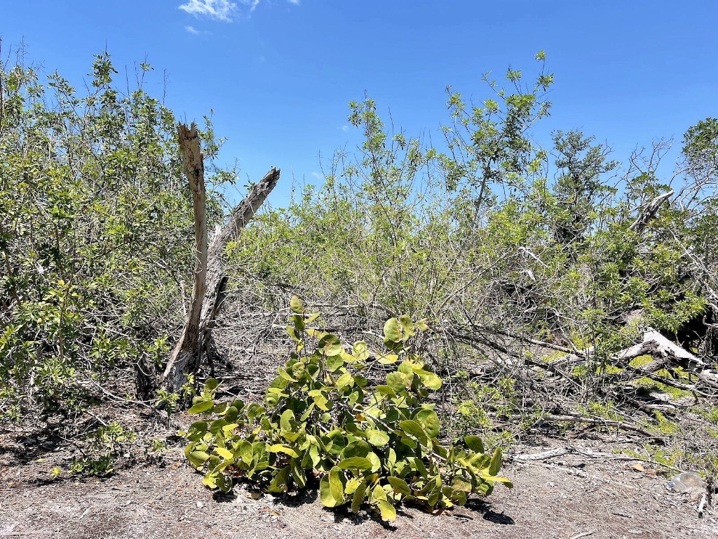 The Island Property Manasota Key Englewood FL 34223 - LEMON BAY C7506730 image20