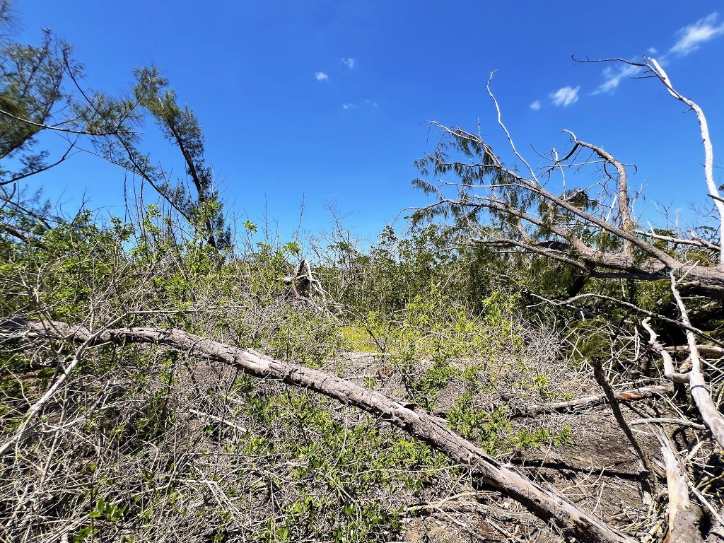 The Island Property Manasota Key Englewood FL 34223 - LEMON BAY C7506730 image5