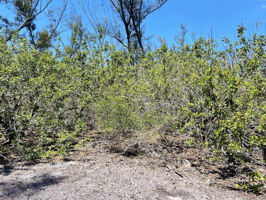 The Island Property Manasota Key Englewood FL 34223 - LEMON BAY C7506730 image6