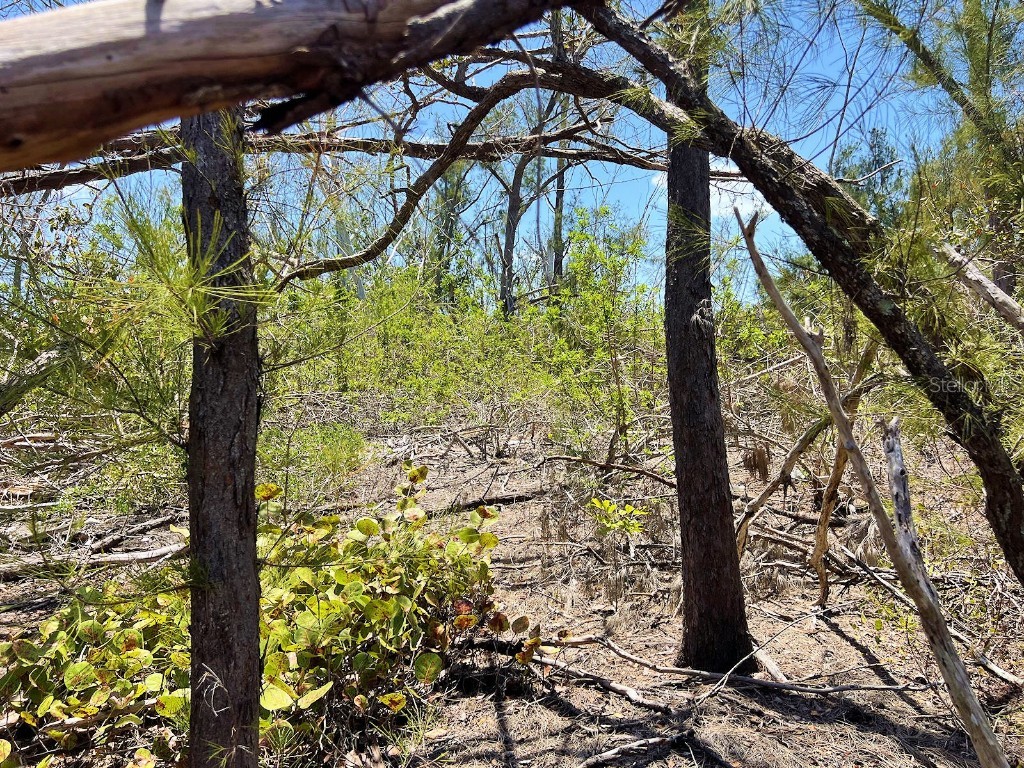 The Island Property Manasota Key Englewood FL 34223 - LEMON BAY C7506730 image7