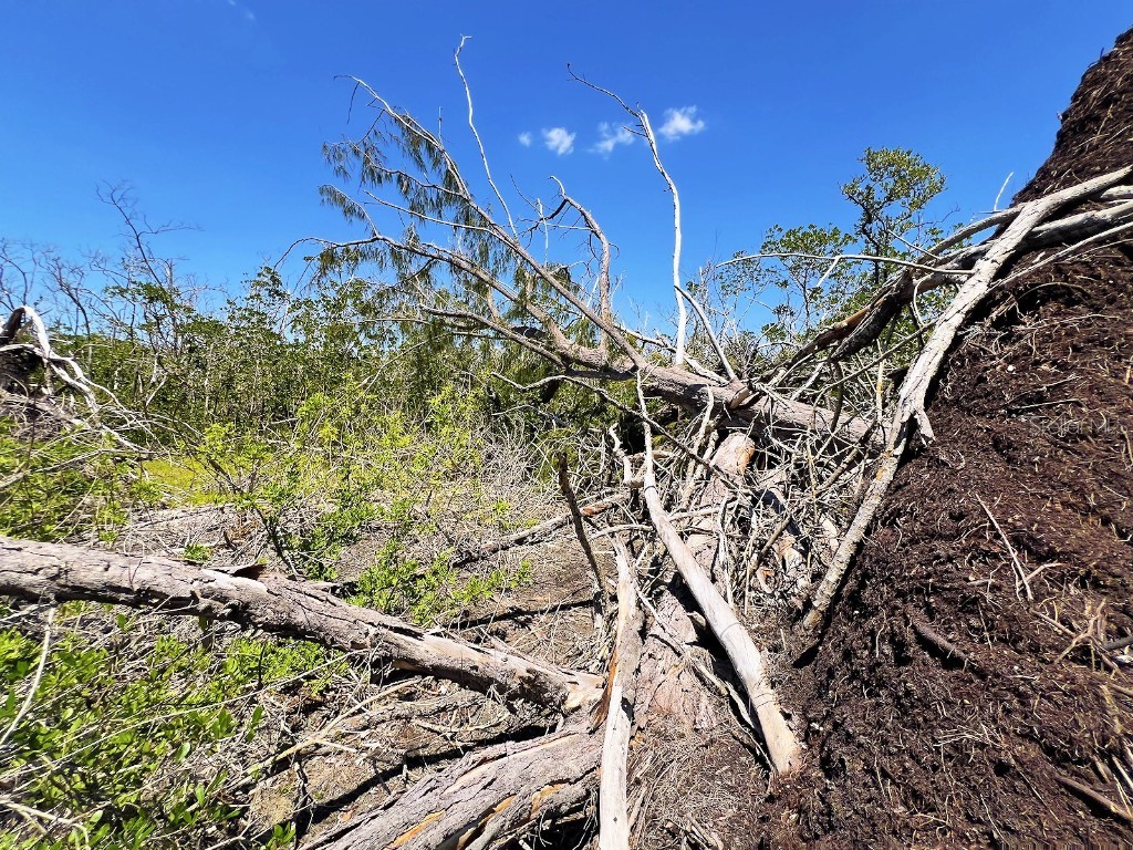 The Island Property Manasota Key Englewood FL 34223 - LEMON BAY C7506730 image8