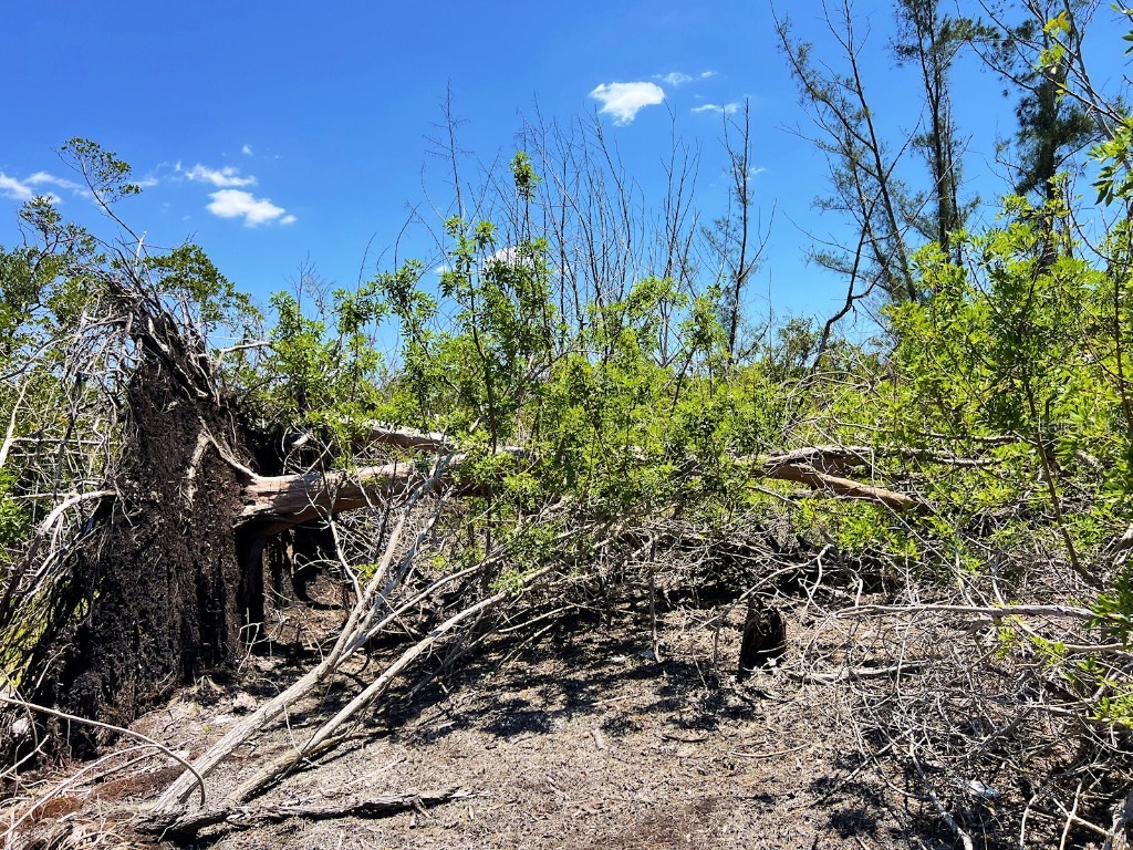 The Island Property Manasota Key Englewood FL 34223 - LEMON BAY C7506730 image9