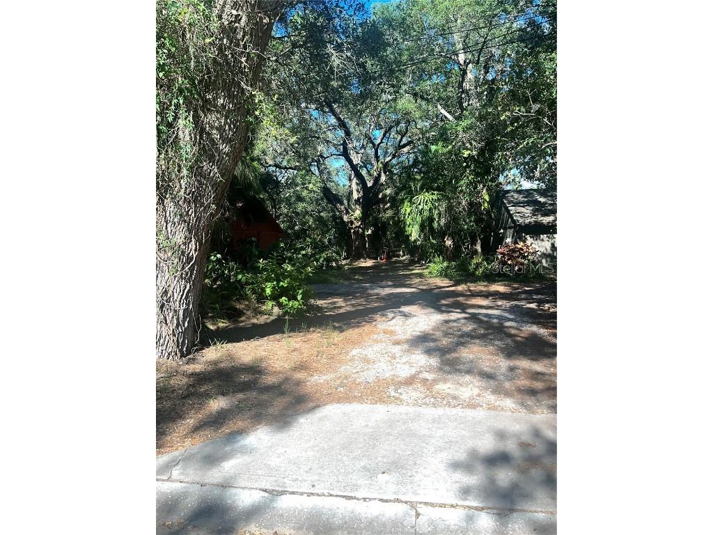 The Mall Clearwater FL 33755 T3451307 image1