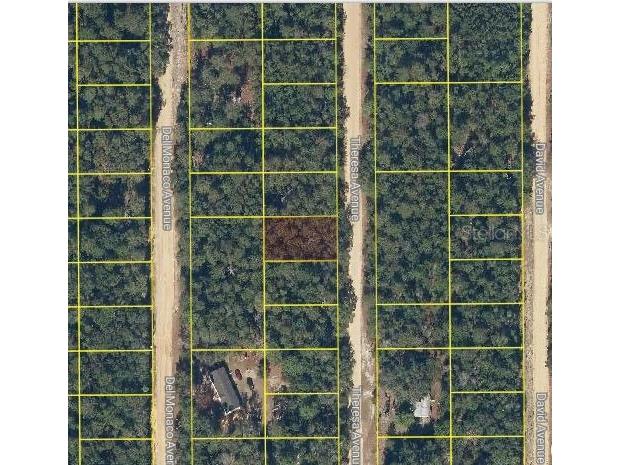 Theresa Avenue Interlachen FL 32148 O6321334 image2