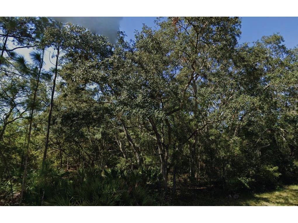 Theresa Avenue Interlachen FL 32148 O6321369 image1