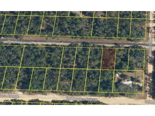 Theresa Avenue Interlachen FL 32148 O6321369 image2