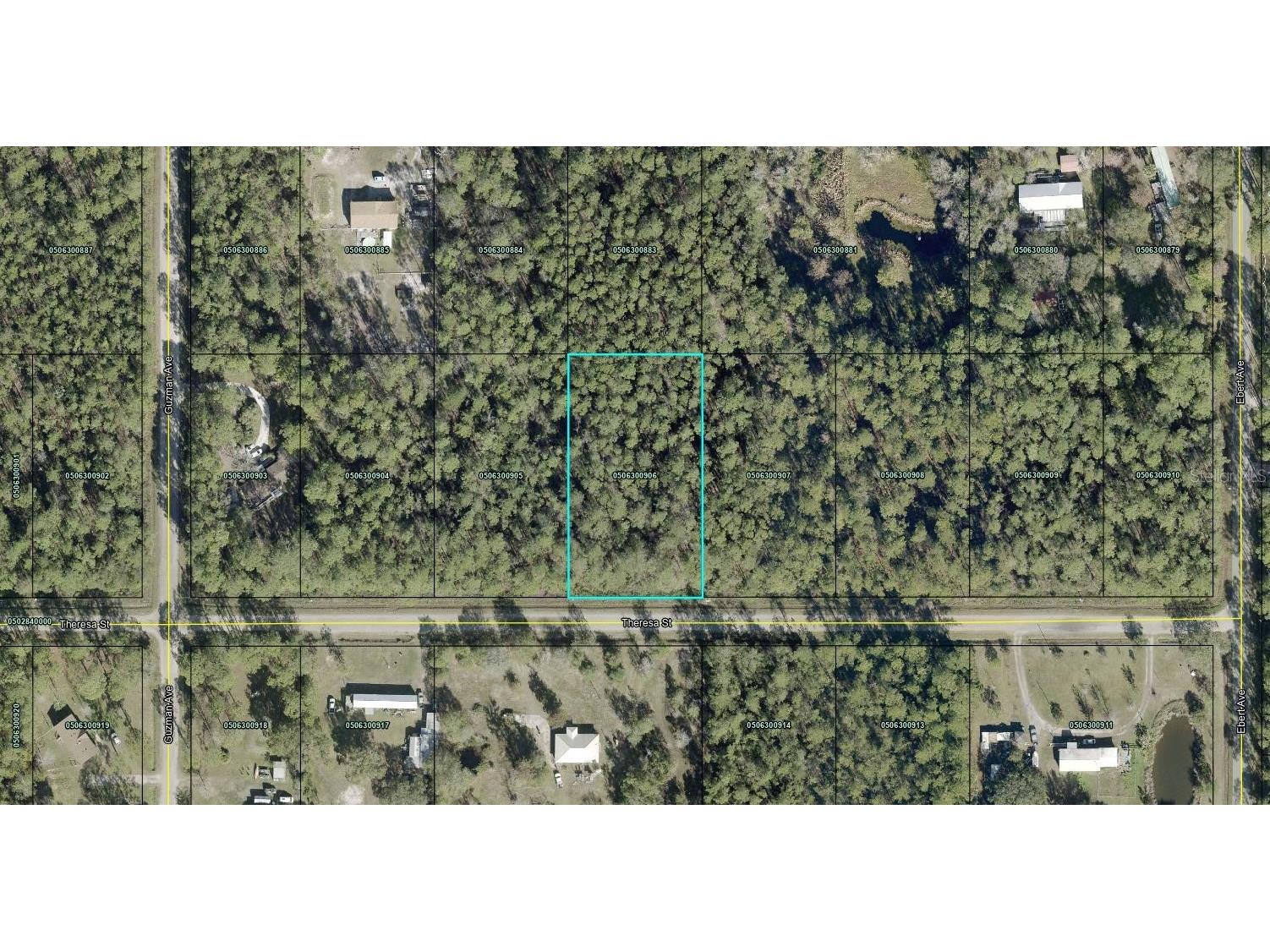 Theresa Street Hastings FL 32145 FC318416 image1