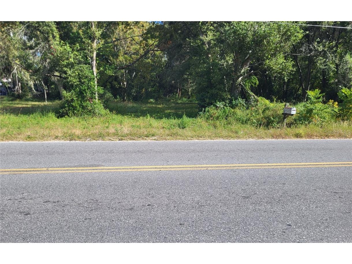 Thomas Avenue Leesburg FL 34748 G5075135 image1