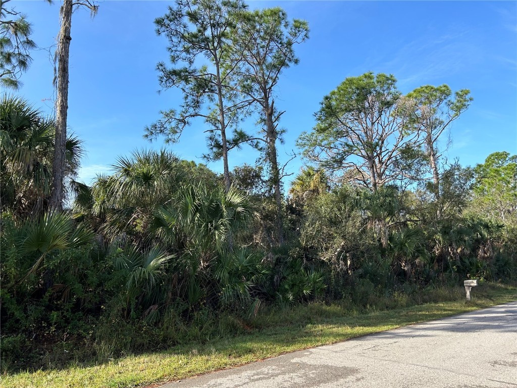 Thomas Lane North Port FL 34286 NS1080270 image1