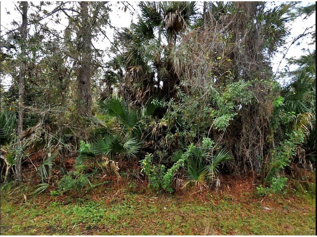 Thomas Lane North Port FL 34286 C7516200 image1