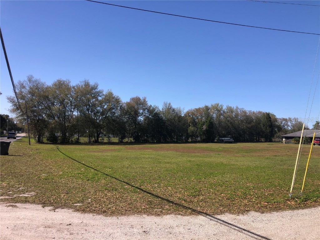 Thonotosassa Plant City FL 33565 T3507280 image1