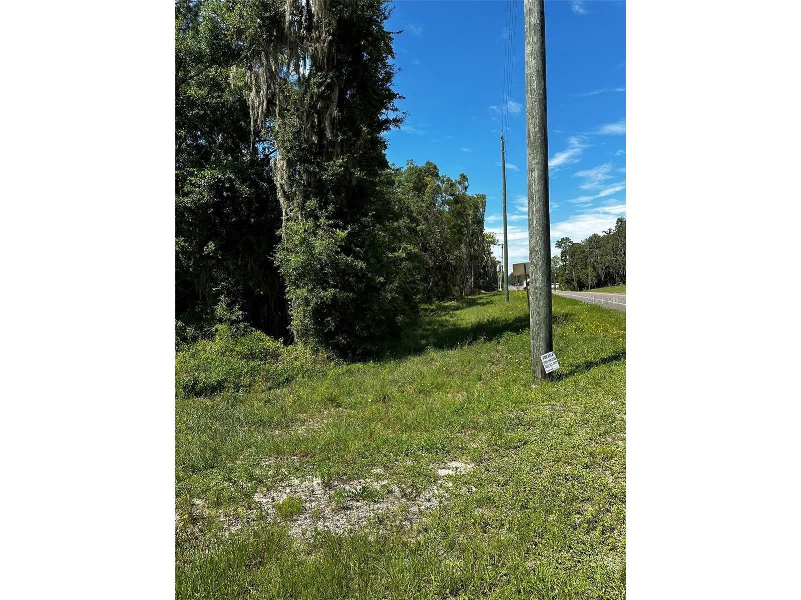 Thrasher Dr Bronson FL 32621 GC540791 image1