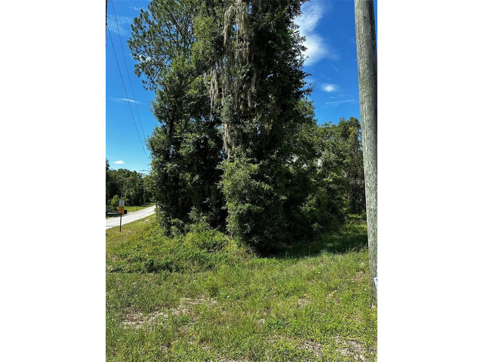 Thrasher Dr Bronson FL 32621 GC540791 image4