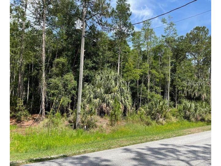 Thunderhead Street Wesley Chapel FL 33544 G5102721 image1