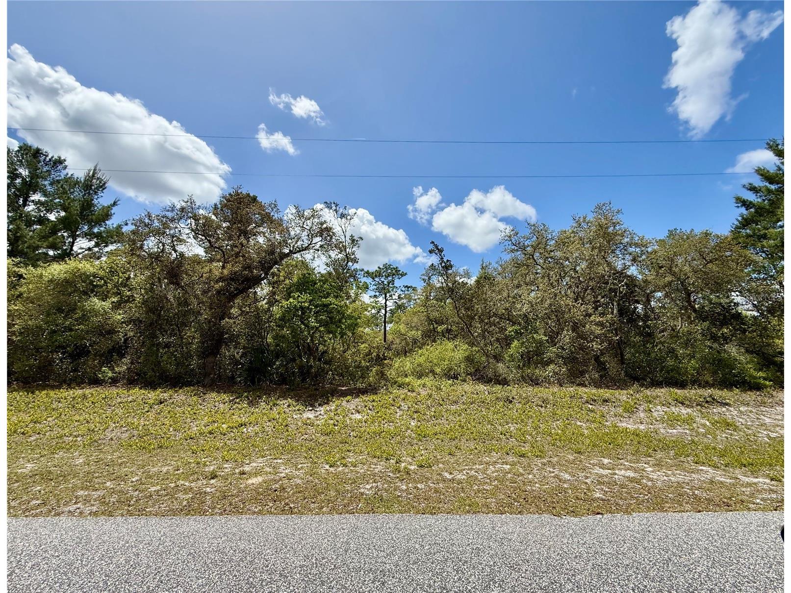 Thyme Court Eustis FL 32736 J999661 image1