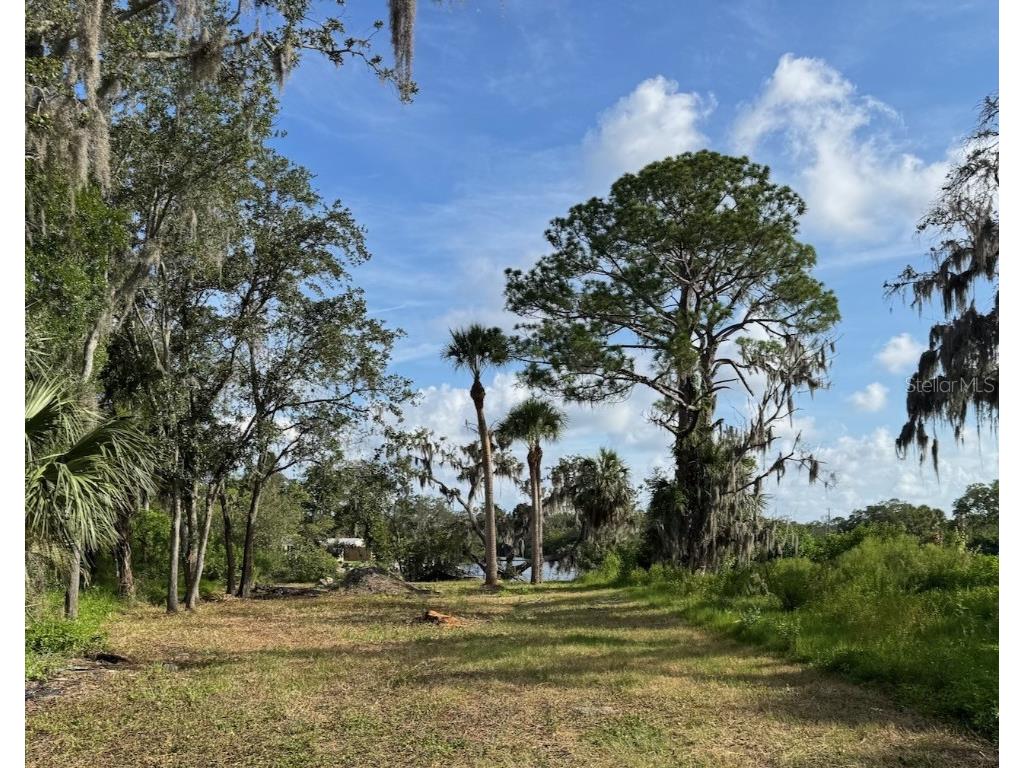 Tiberius Trail New Port Richey FL 34652 - OYSTER CREEK T3530427 image1