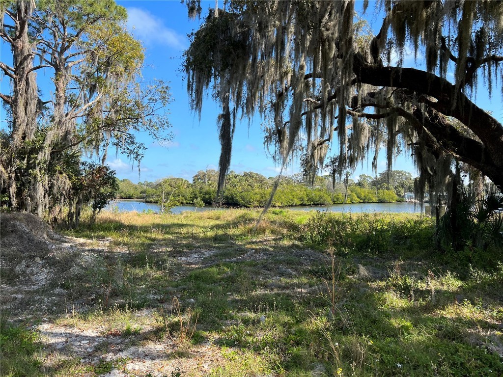 Tiberius Trail New Port Richey FL 34652 - OYSTER CREEK T3530427 image2