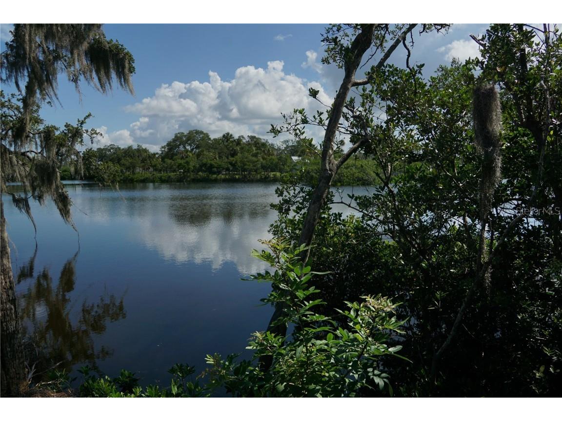 Tiberius Trail New Port Richey FL 34652 TB8414497 image2