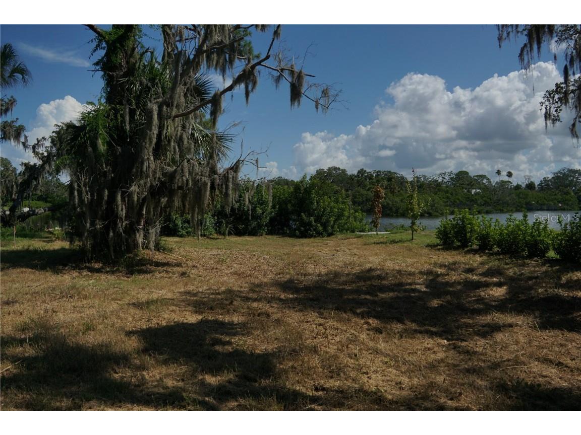 Tiberius Trail New Port Richey FL 34652 TB8414497 image4