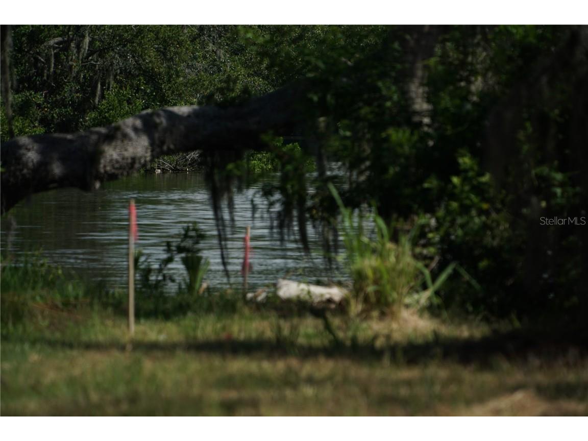 Tiberius Trail New Port Richey FL 34652 TB8414497 image5