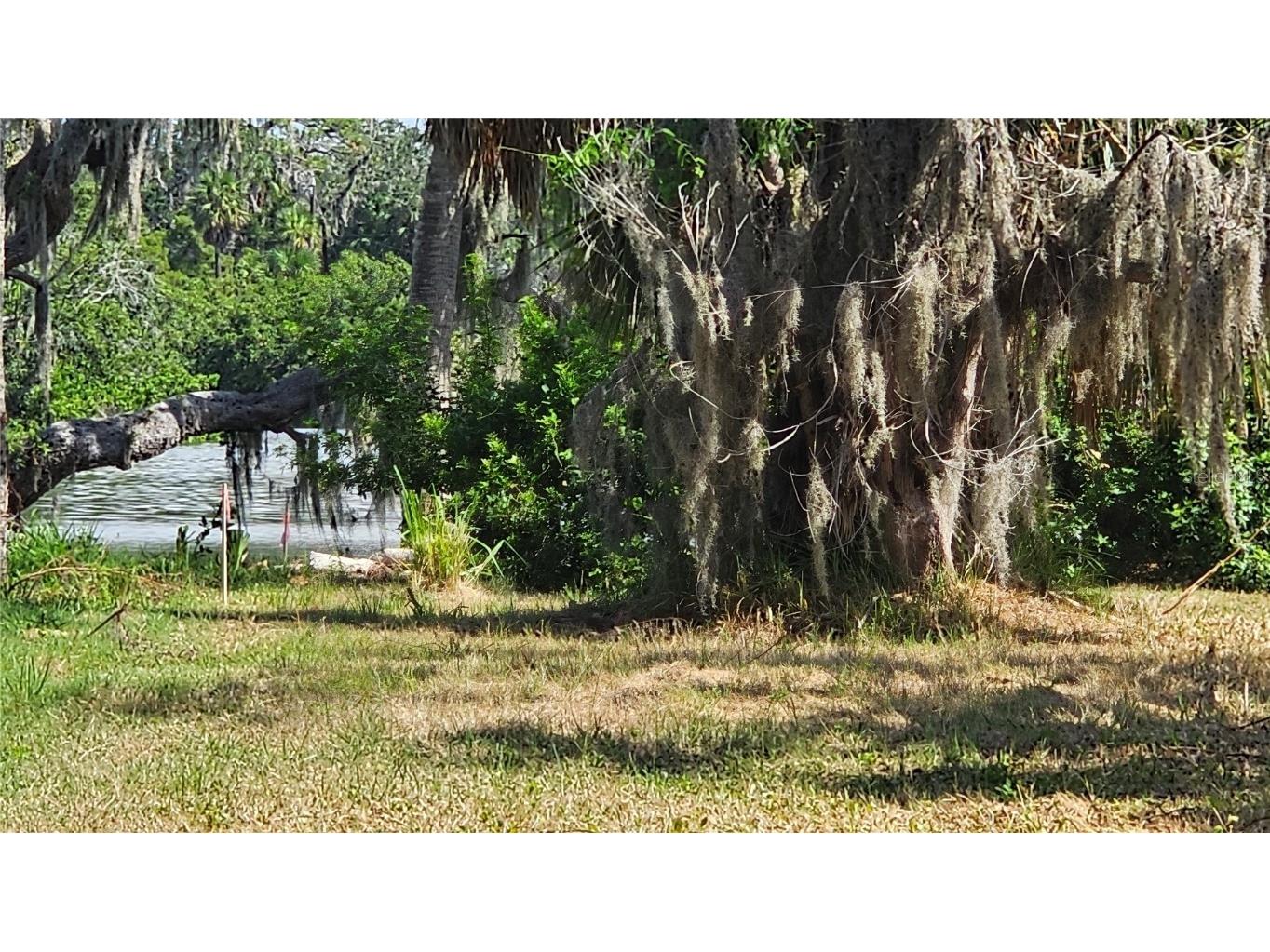 Tiberius Trail New Port Richey FL 34652 TB8414497 image6