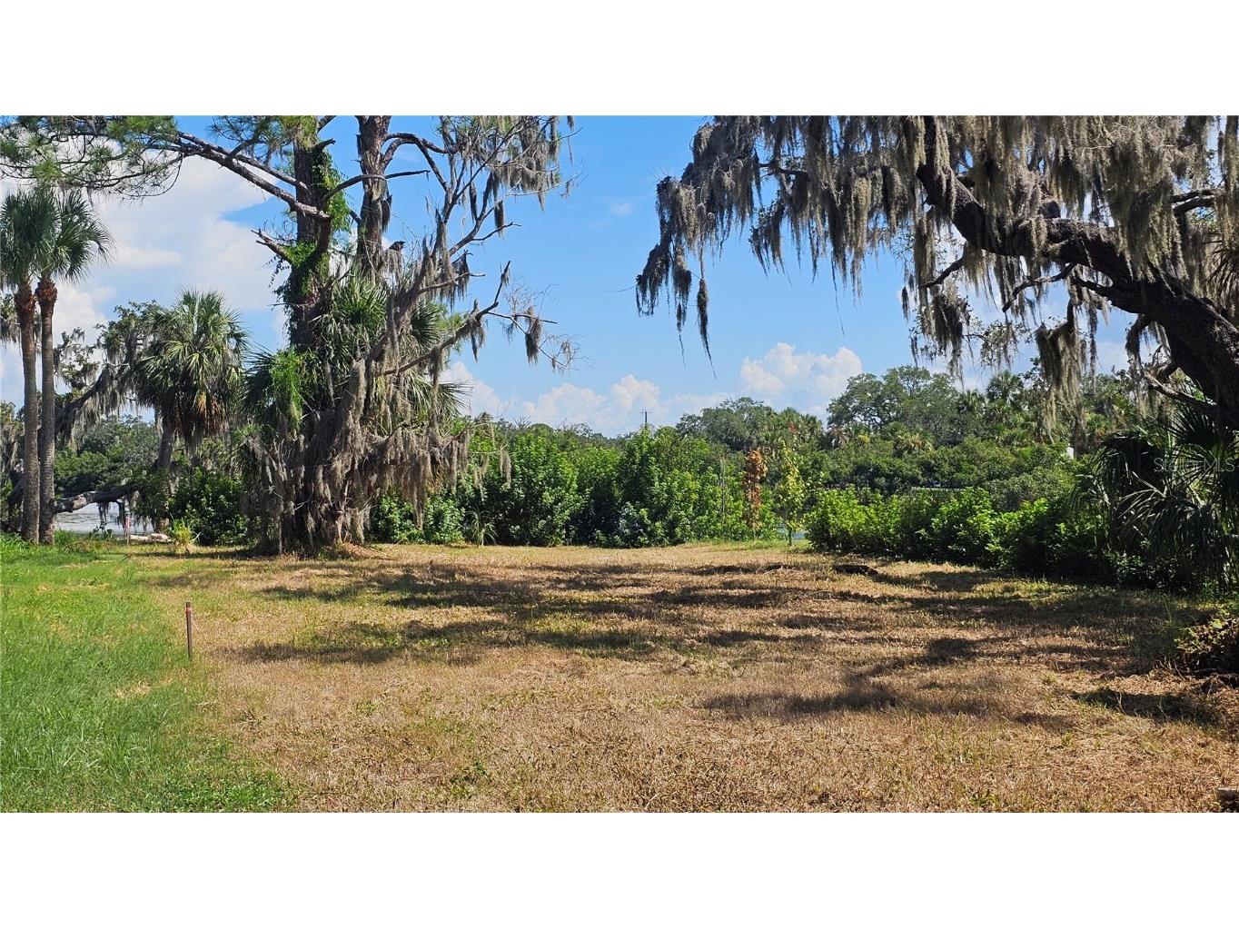 Tiberius Trail New Port Richey FL 34652 TB8414497 image7