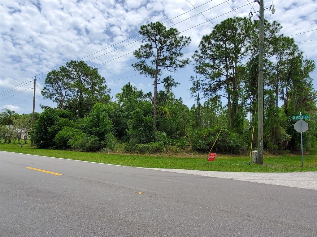 Tidwell Street North Port FL 34291 D6125694 image1