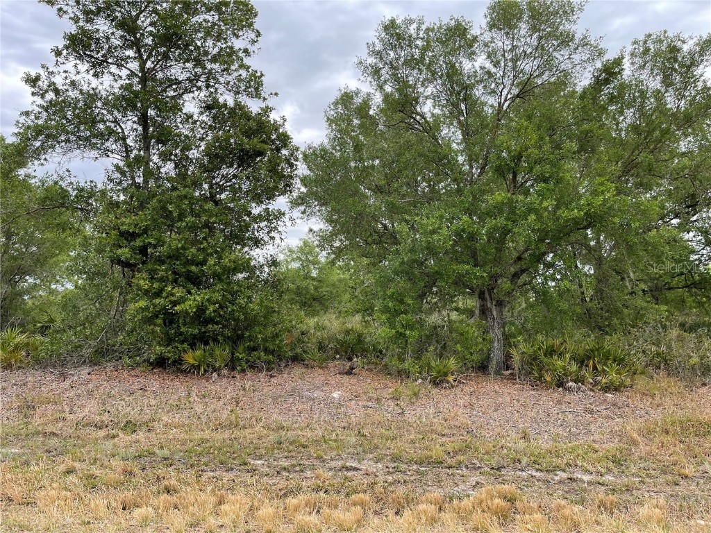 Tiger Lake Road Lake Wales FL 33898 S5082328 image1