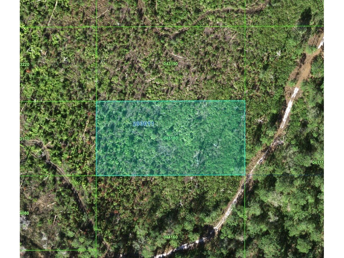 Tiger Rd Lake Wales FL 33898 O6393969 image1