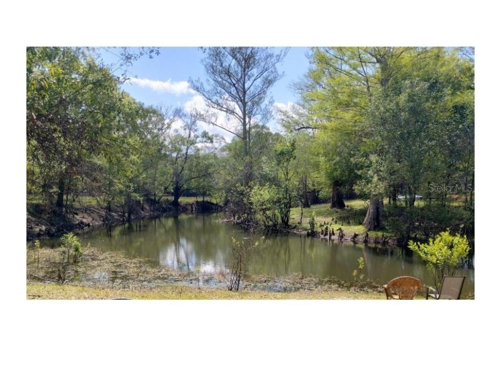 Tiger Street Dade City FL 33523 W7873611 image2