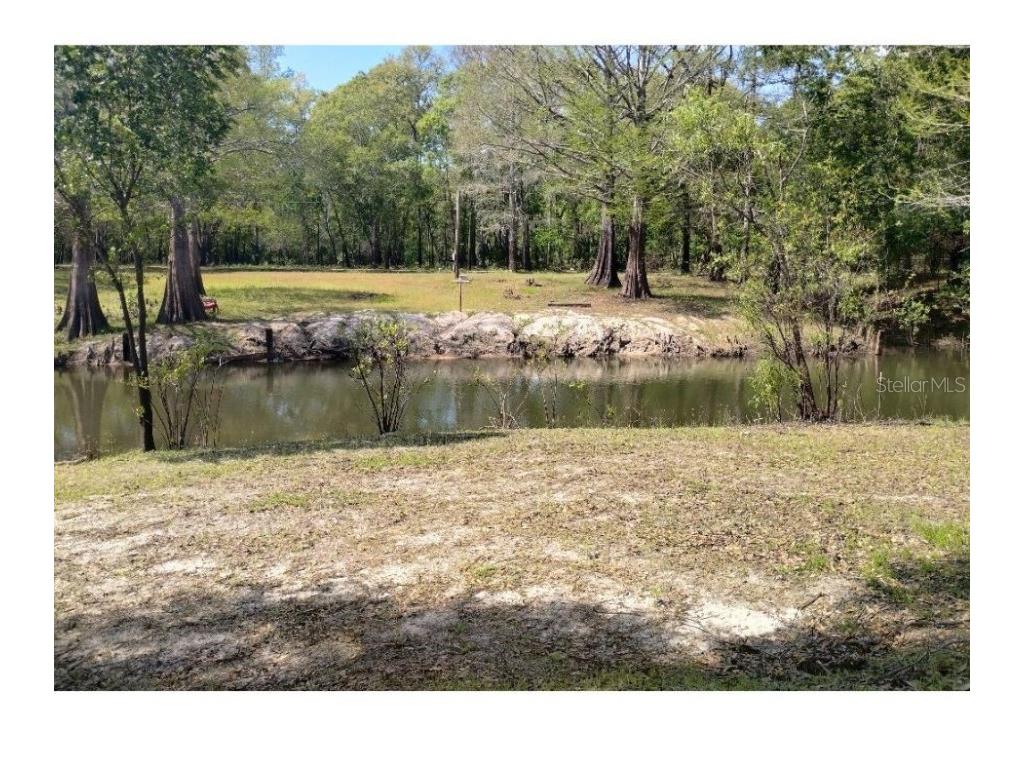 Tiger Street Dade City FL 33523 W7873611 image3