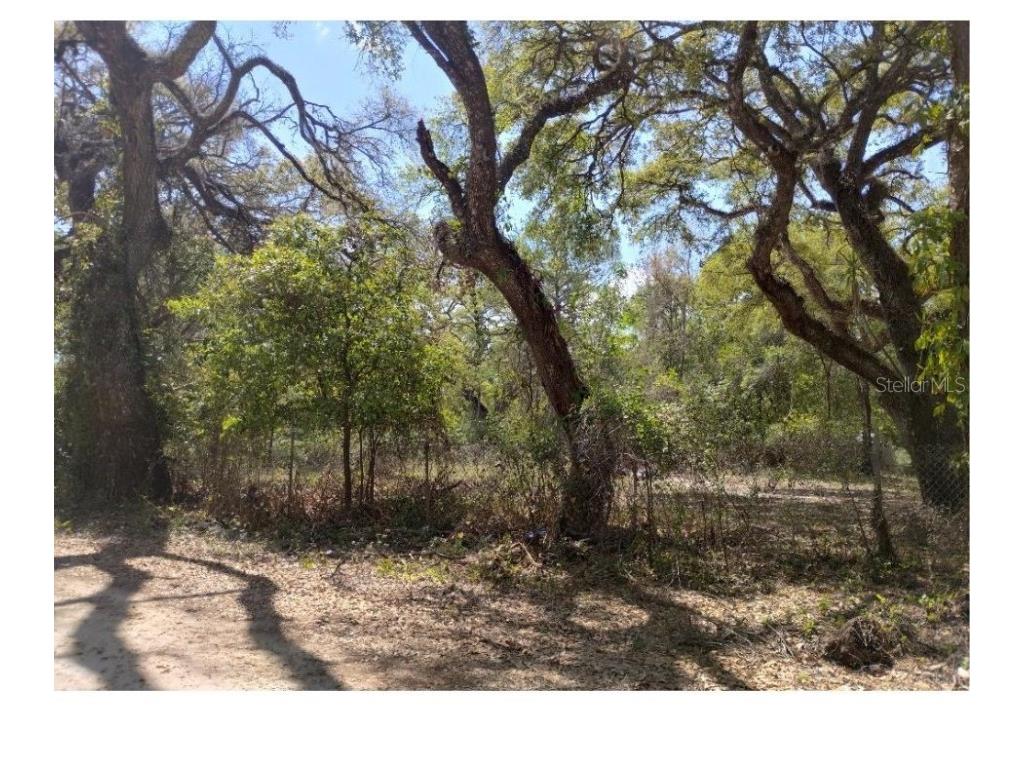 Tiger Street Dade City FL 33523 W7873611 image4